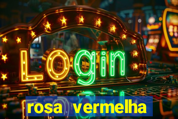 rosa vermelha (letra e cifra)