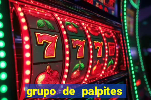 grupo de palpites de futebol whatsapp