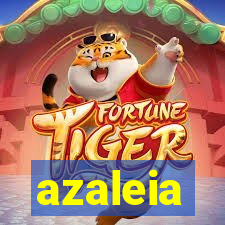 azaleia-br.com