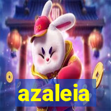 azaleia-br.com