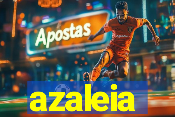 azaleia-br.com