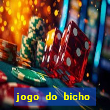 jogo do bicho documentario globoplay