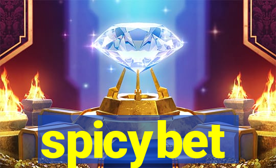 spicybet-3.com